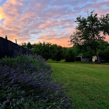 Campidoglio Casa vacanze Monte Vidon Corrado